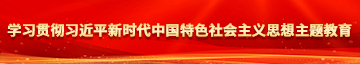 屄内内在线视频学习贯彻习近平新时代中国特色社会主义思想主题教育